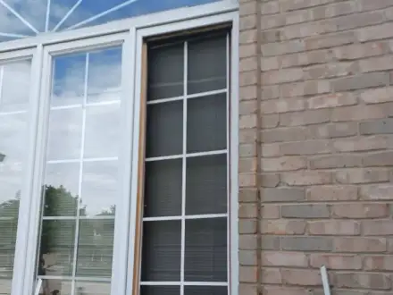 Single Glass Replacement